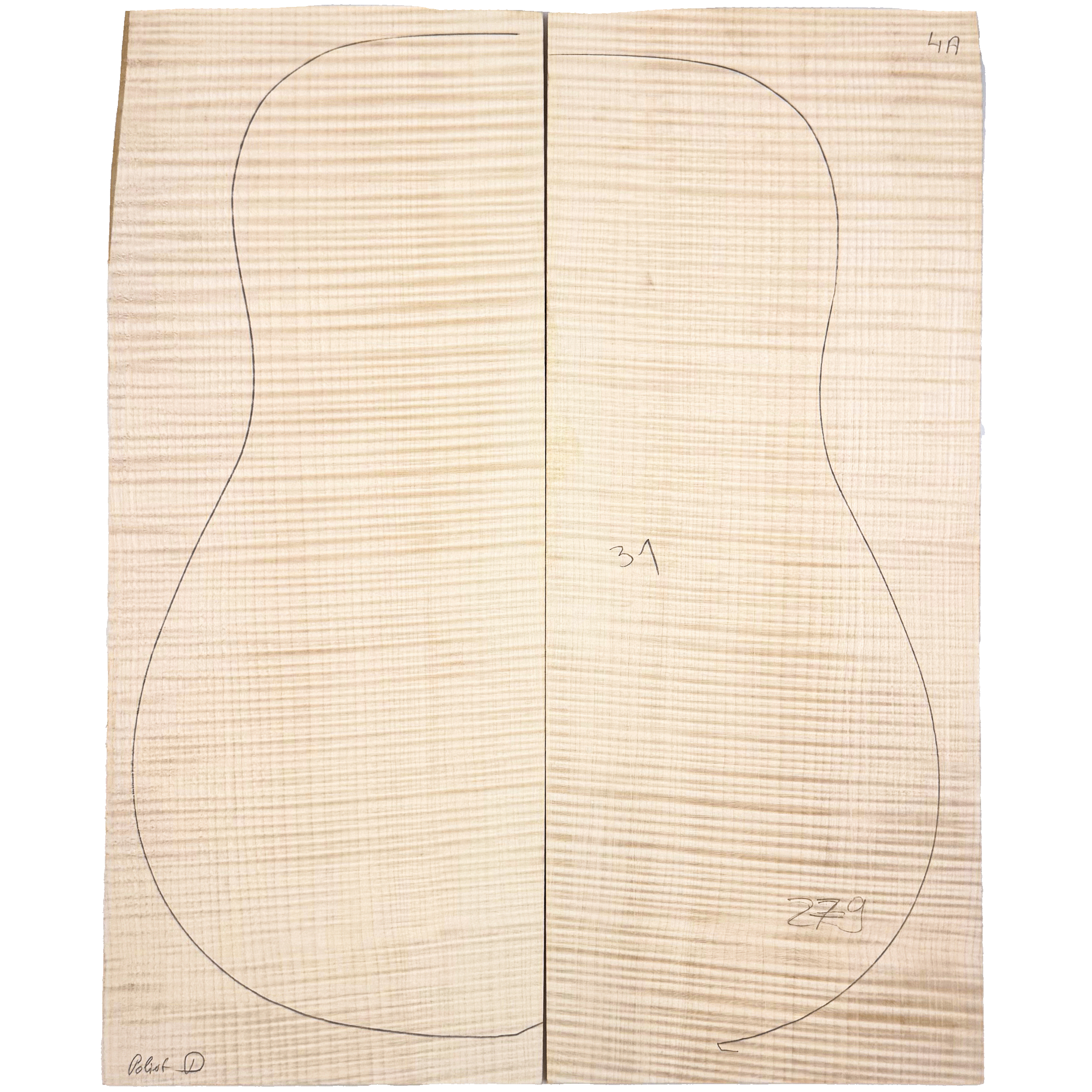 Flamed maple